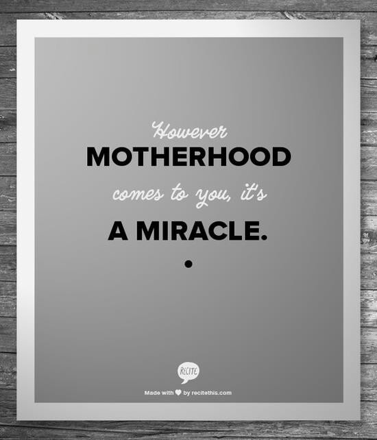 motherhood miracle